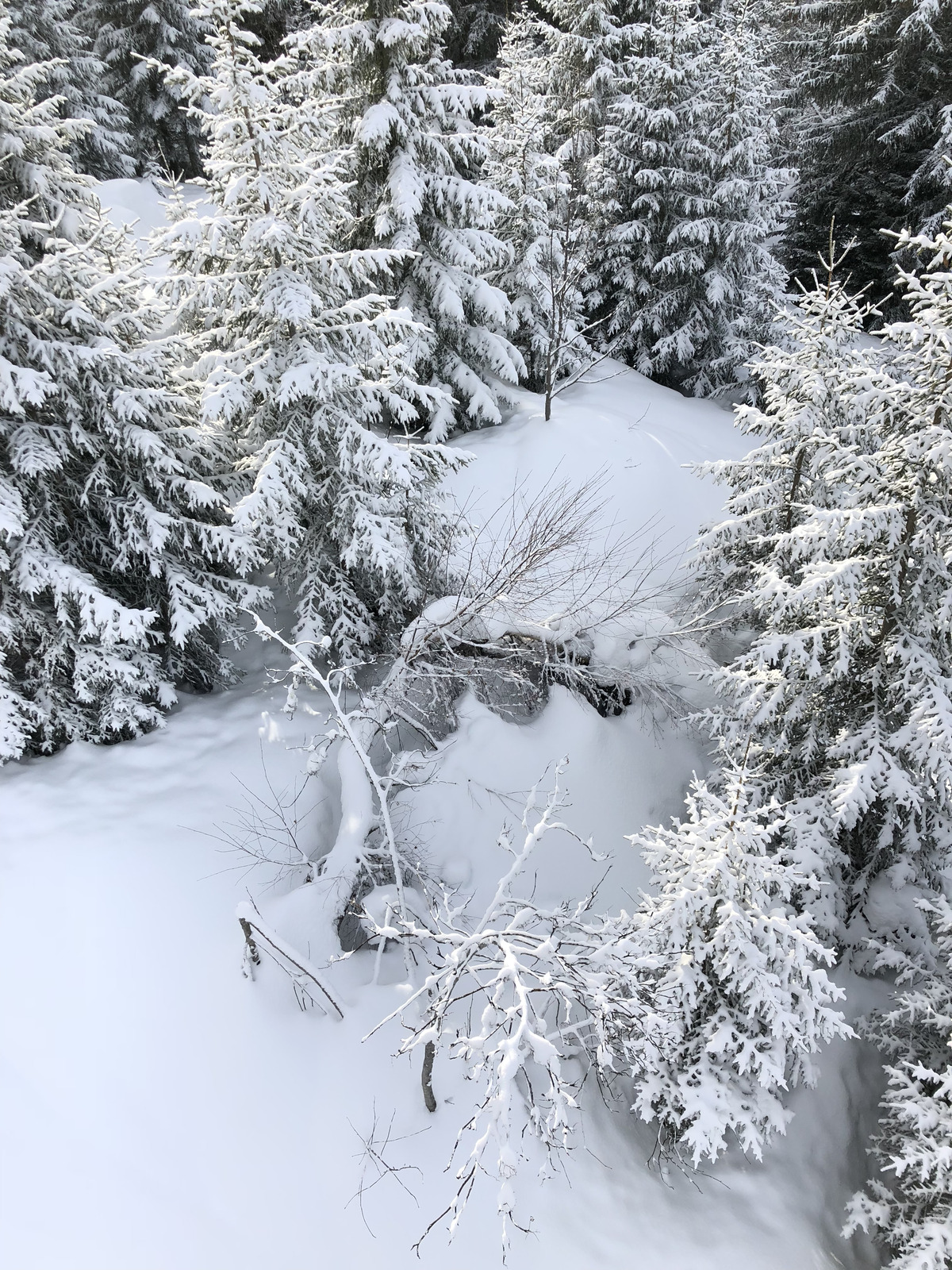 Picture France La Clusaz 2017-12 361 - Photographer La Clusaz