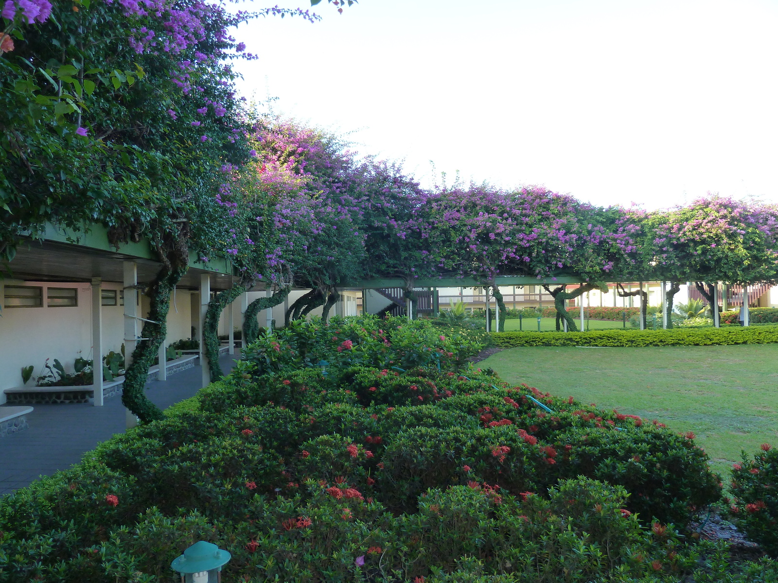 Picture Fiji Raffles Nadi Hotel 2010-05 8 - Photographer Raffles Nadi Hotel