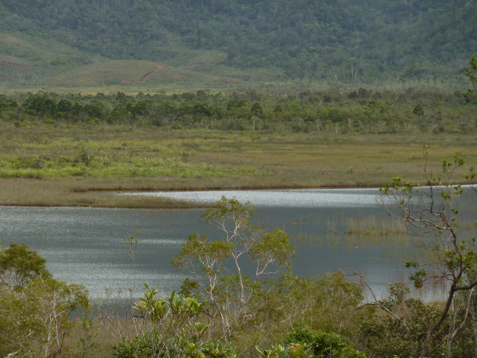 Picture New Caledonia Parc de la Riviere Bleue 2010-05 22 - Perspective Parc de la Riviere Bleue