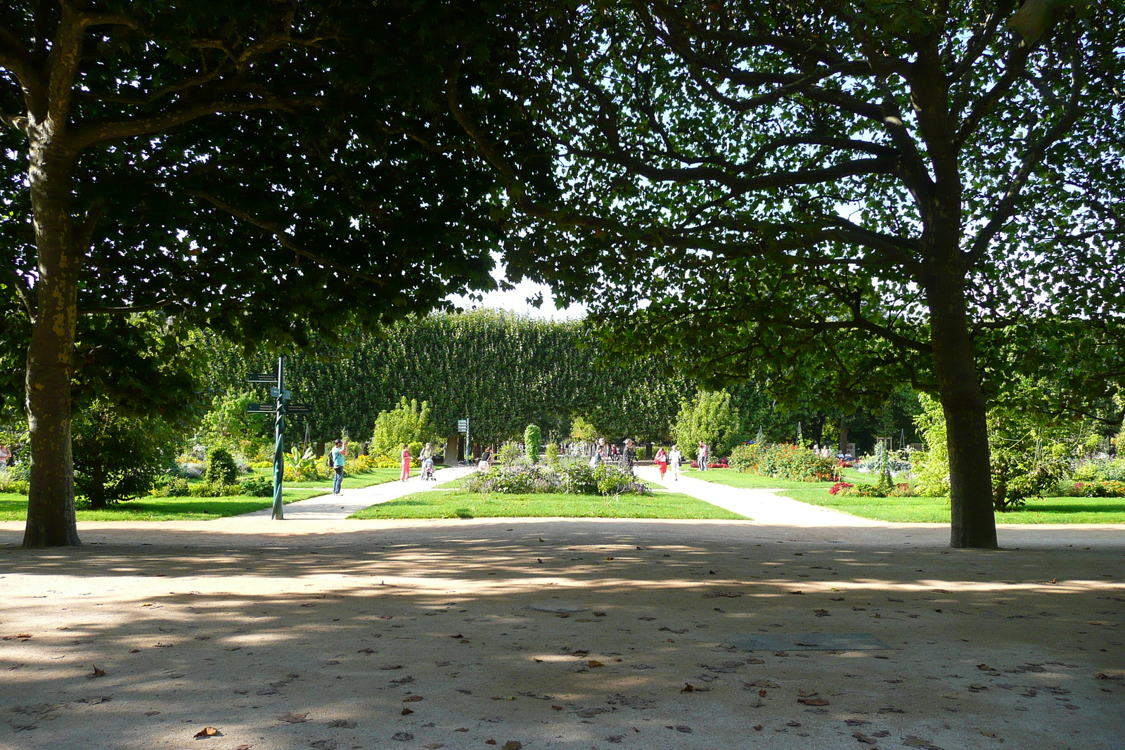 Picture France Paris Jardin des Plantes 2007-08 25 - Pictures Jardin des Plantes