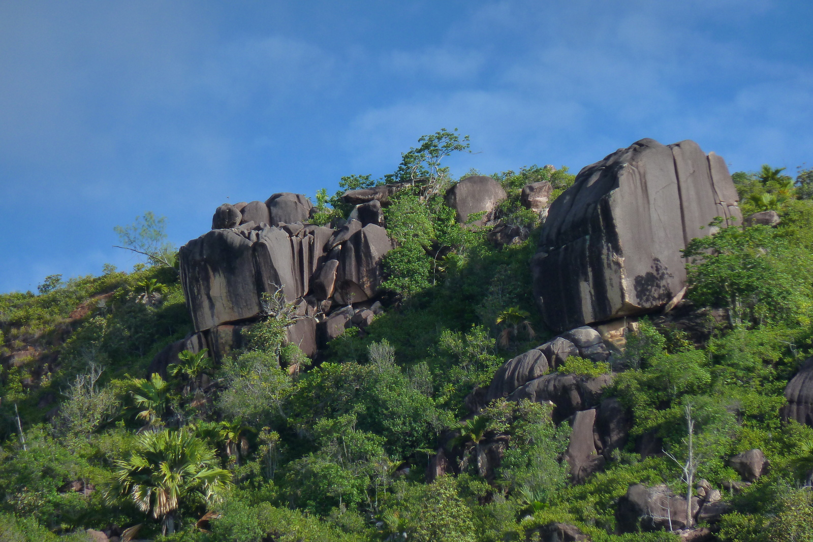 Picture Seychelles 2011-10 94 - Tourist Seychelles