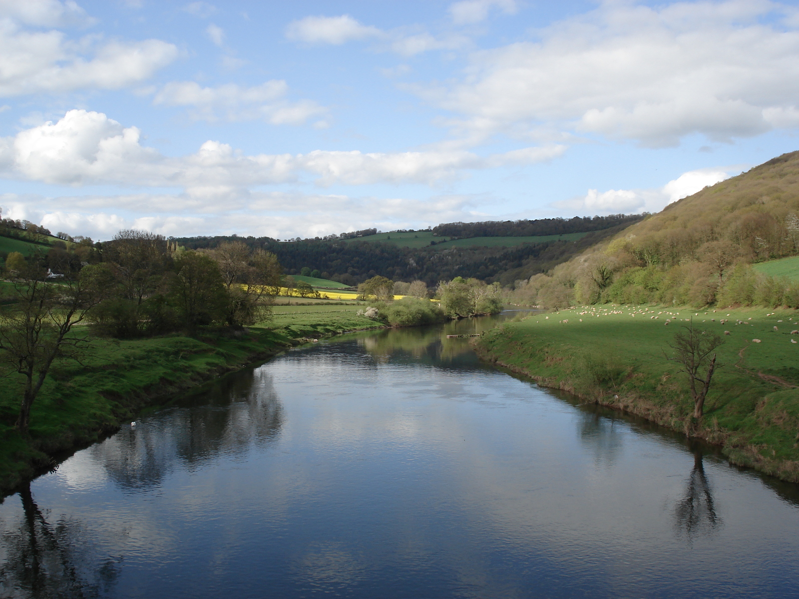 Picture United Kingdom Wye Valey 2006-05 30 - Travels Wye Valey