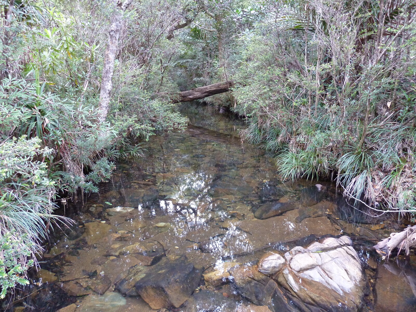 Picture New Caledonia Parc de la Riviere Bleue 2010-05 49 - Travels Parc de la Riviere Bleue