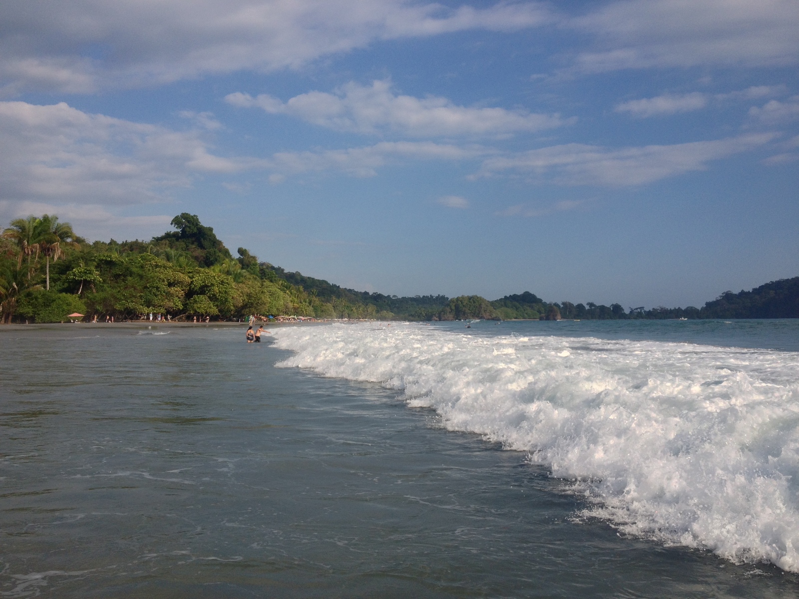 Picture Costa Rica Manuel Antonio 2015-03 481 - Trail Manuel Antonio