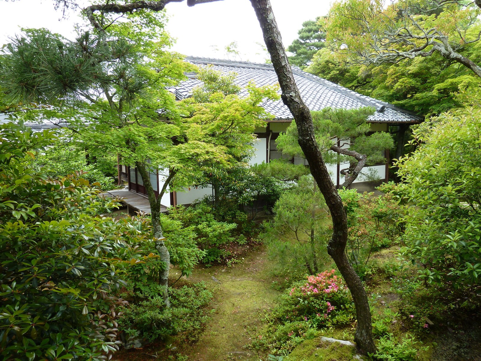 Picture Japan Kyoto Ninna ji imperial Residence 2010-06 82 - Perspective Ninna ji imperial Residence