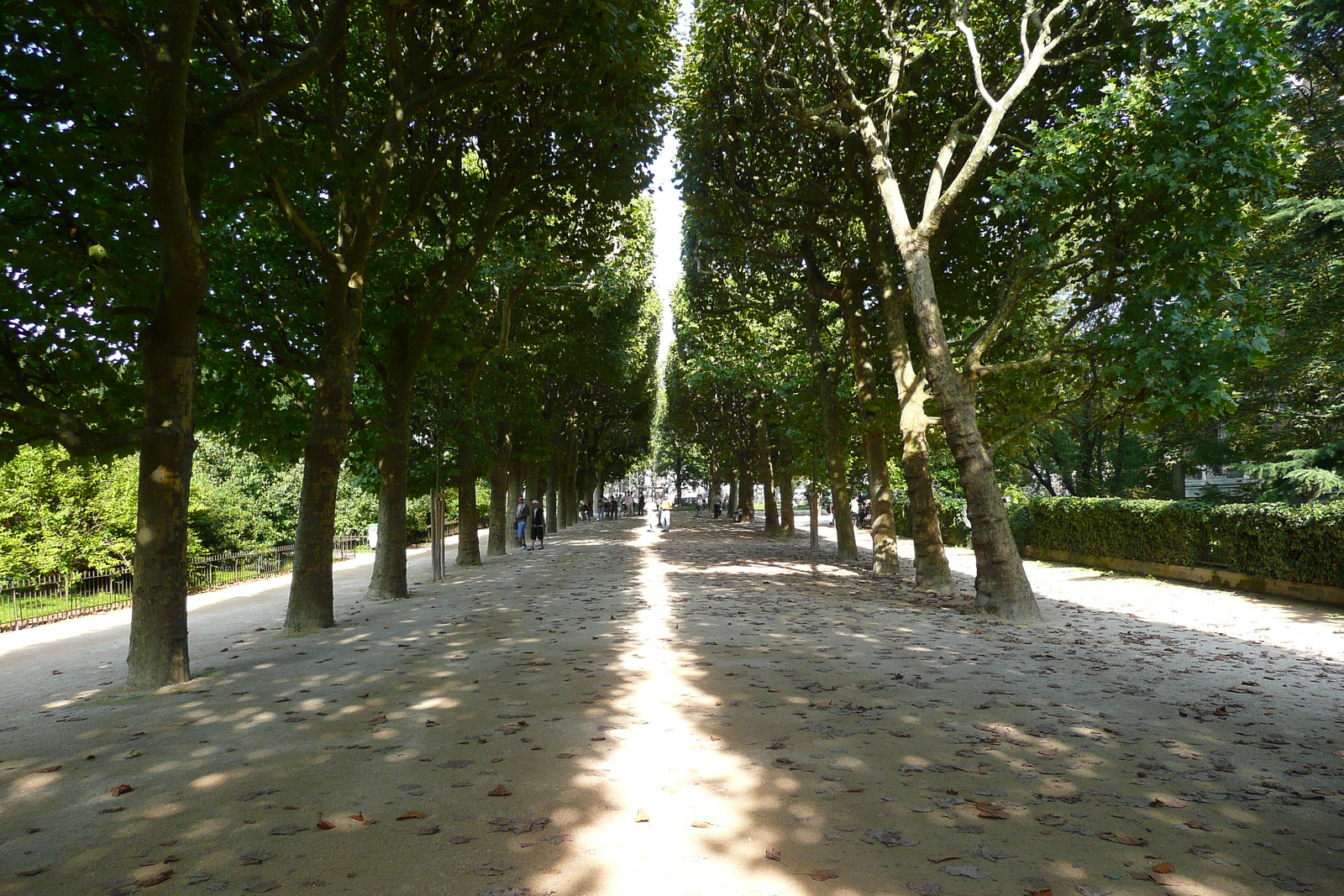 Picture France Paris Jardin des Plantes 2007-08 53 - Trail Jardin des Plantes