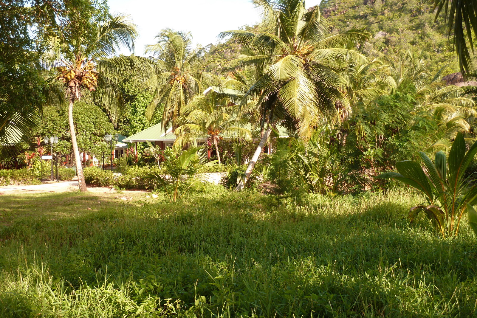 Picture Seychelles Anse Lazio 2011-10 106 - Trail Anse Lazio