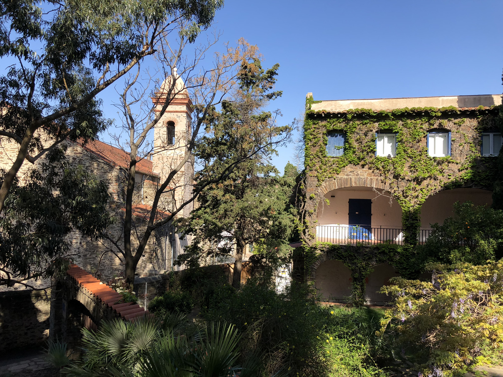 Picture France Collioure 2018-04 341 - Road Collioure