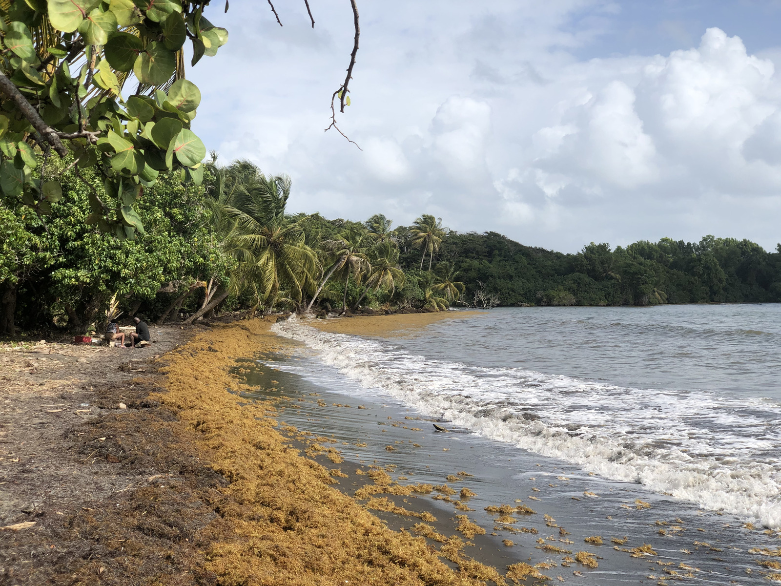 Picture Guadeloupe Viard Beach 2021-02 1 - Perspective Viard Beach