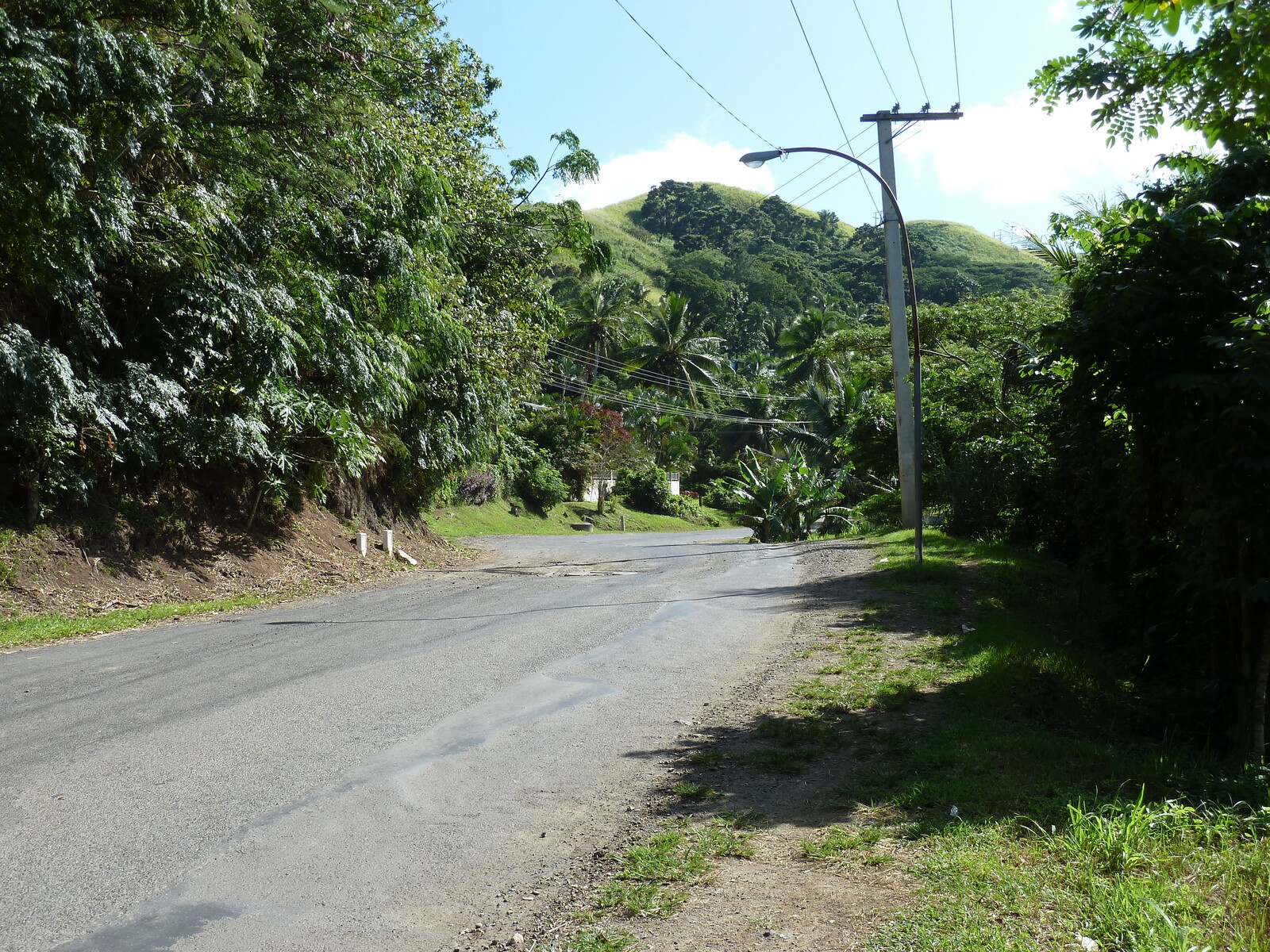 Picture Fiji Sigatoka river 2010-05 45 - Trail Sigatoka river