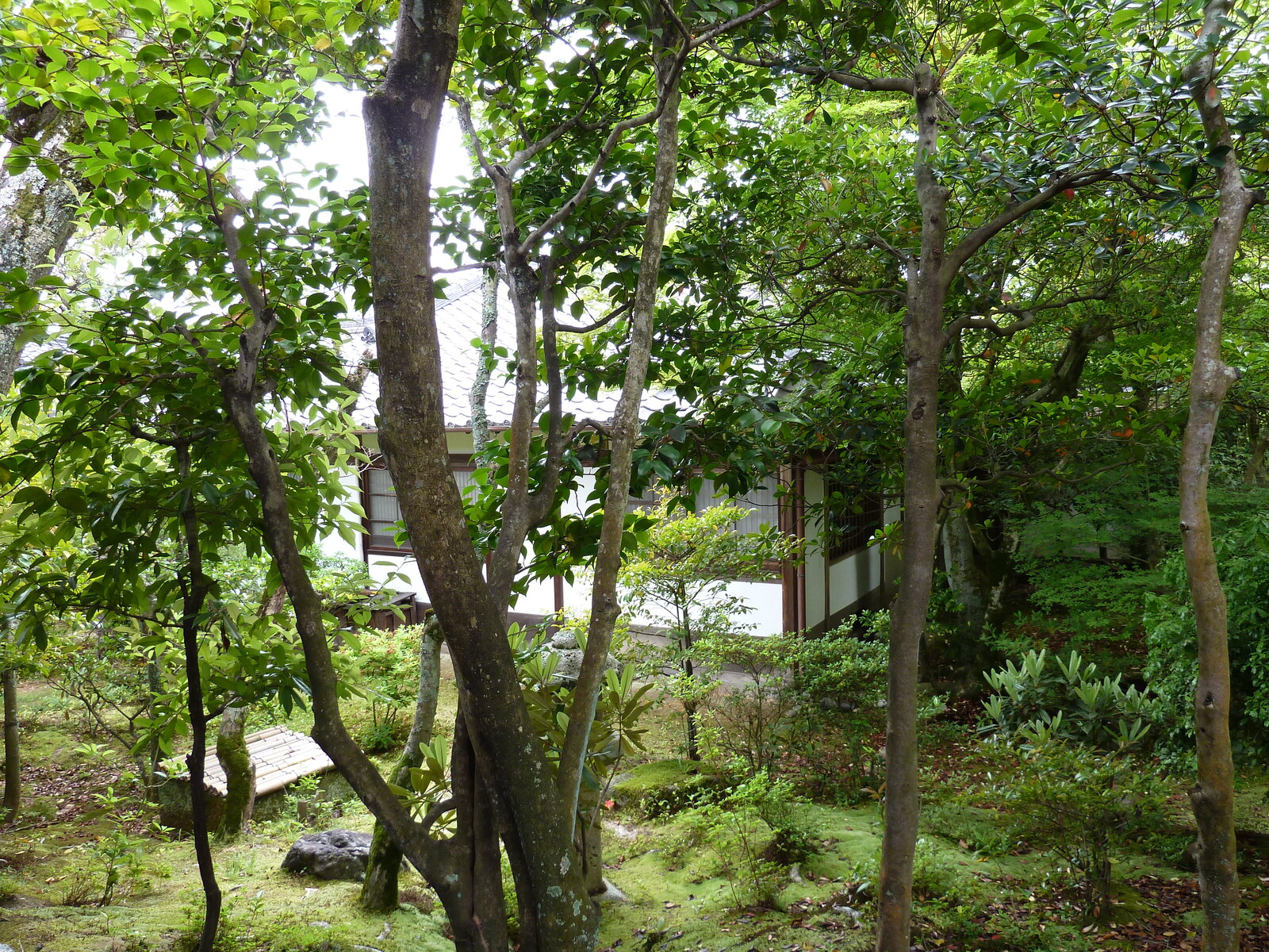 Picture Japan Kyoto Ninna ji imperial Residence 2010-06 100 - Randonee Ninna ji imperial Residence