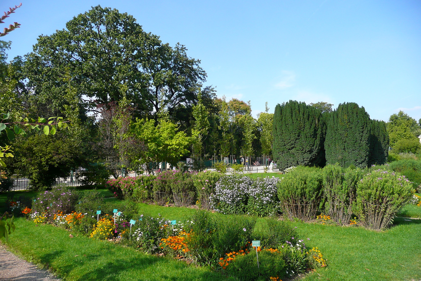 Picture France Paris Jardin des Plantes 2007-08 215 - Road Jardin des Plantes