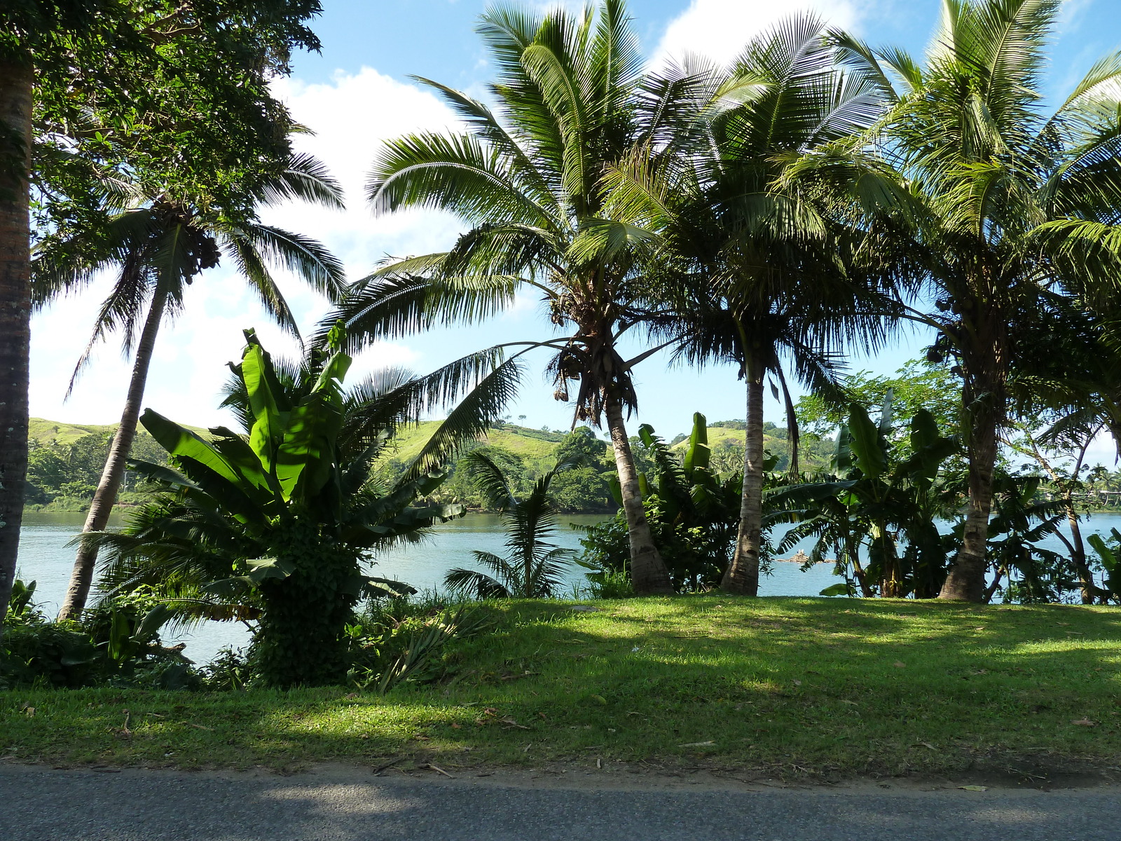 Picture Fiji Sigatoka river 2010-05 49 - Store Sigatoka river