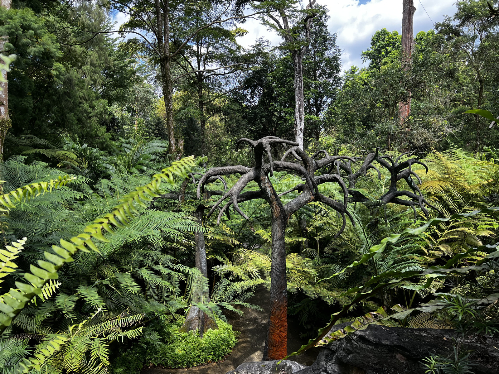 Picture Singapore Singapore Botanic Gardens 2023-01 60 - Perspective Singapore Botanic Gardens