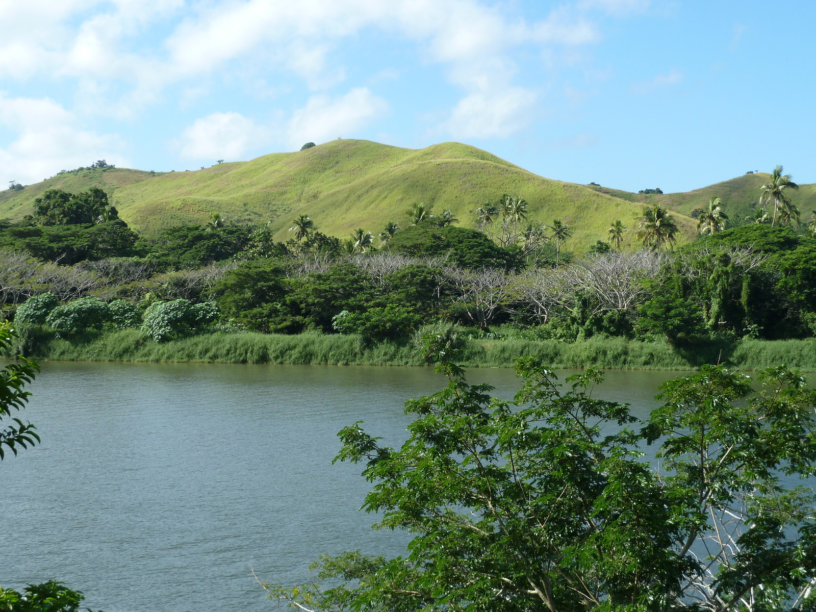 Picture Fiji Sigatoka river 2010-05 71 - Road Map Sigatoka river