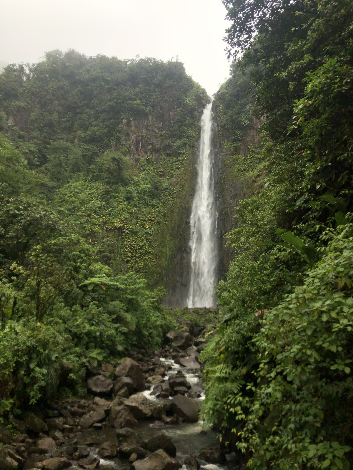 Picture Guadeloupe Carbet Falls 2021-02 19 - Photographer Carbet Falls