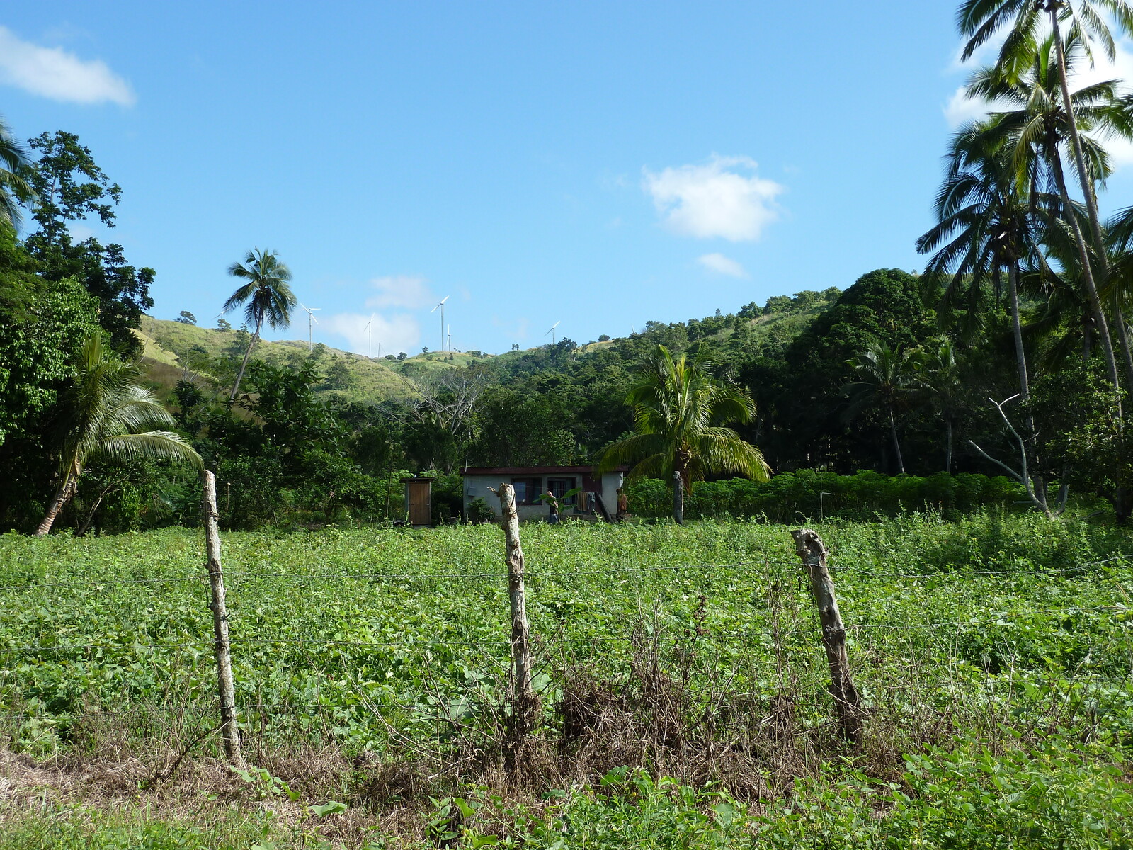 Picture Fiji Sigatoka river 2010-05 81 - Photos Sigatoka river