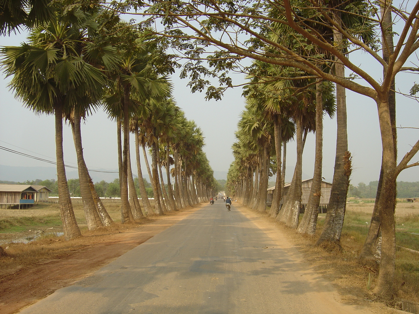 Picture Myanmar Dawei (TAVOY) 2005-01 39 - Travels Dawei (TAVOY)