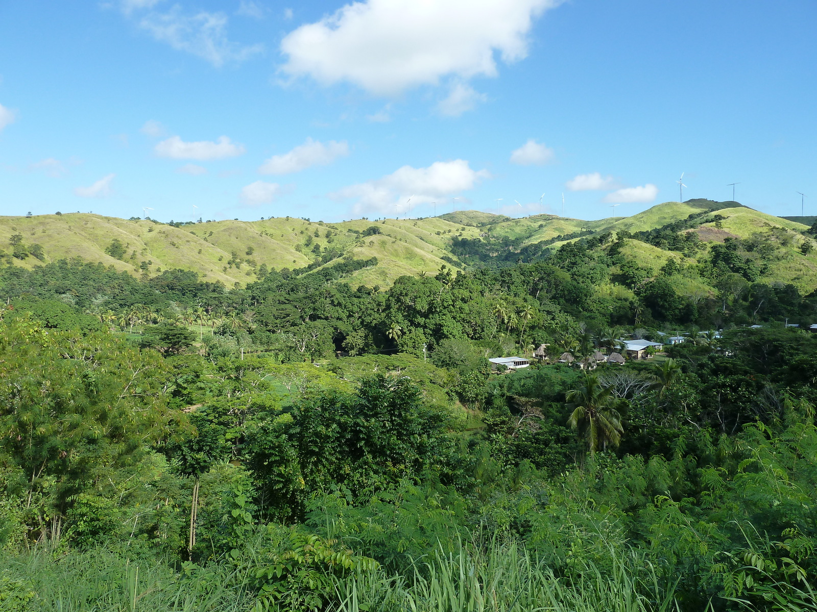 Picture Fiji Sigatoka river 2010-05 12 - Trail Sigatoka river