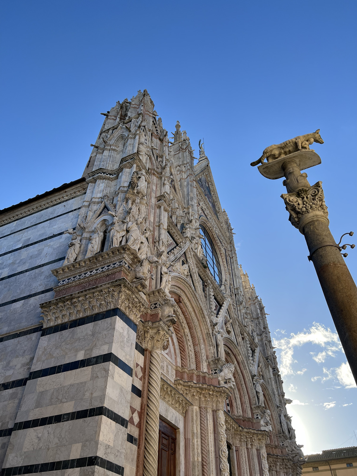 Picture Italy Siena Duomo di Siena 2021-09 9 - Sight Duomo di Siena