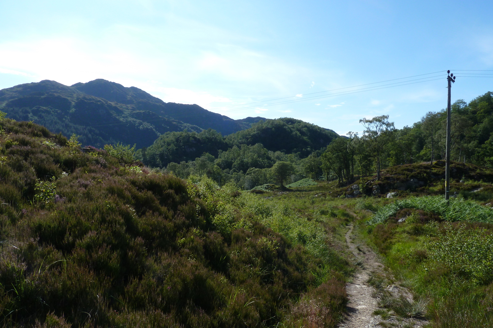 Picture United Kingdom The Trossachs 2011-07 80 - Travel The Trossachs