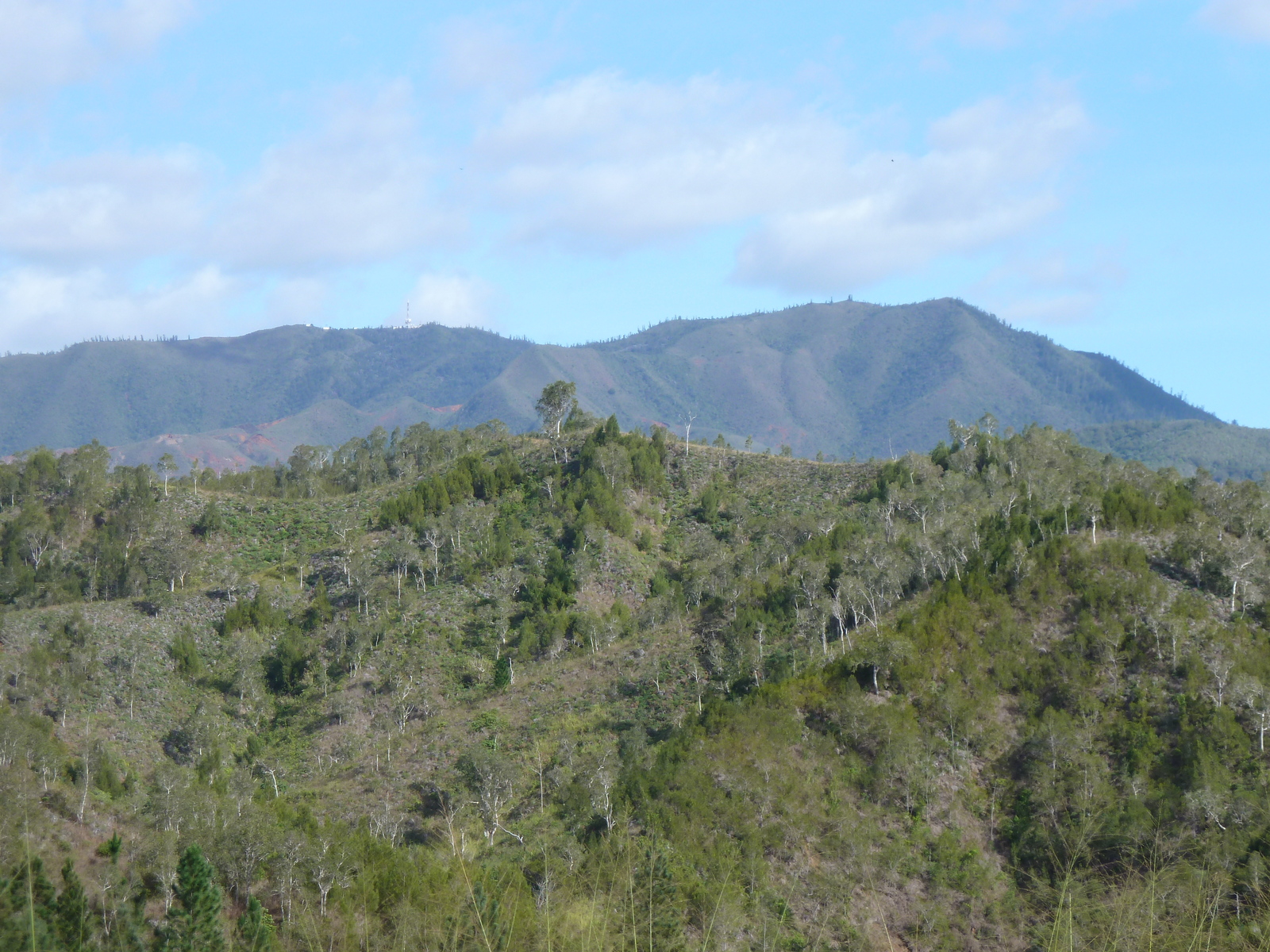 Picture New Caledonia Tontouta to Thio road 2010-05 53 - Randonee Tontouta to Thio road