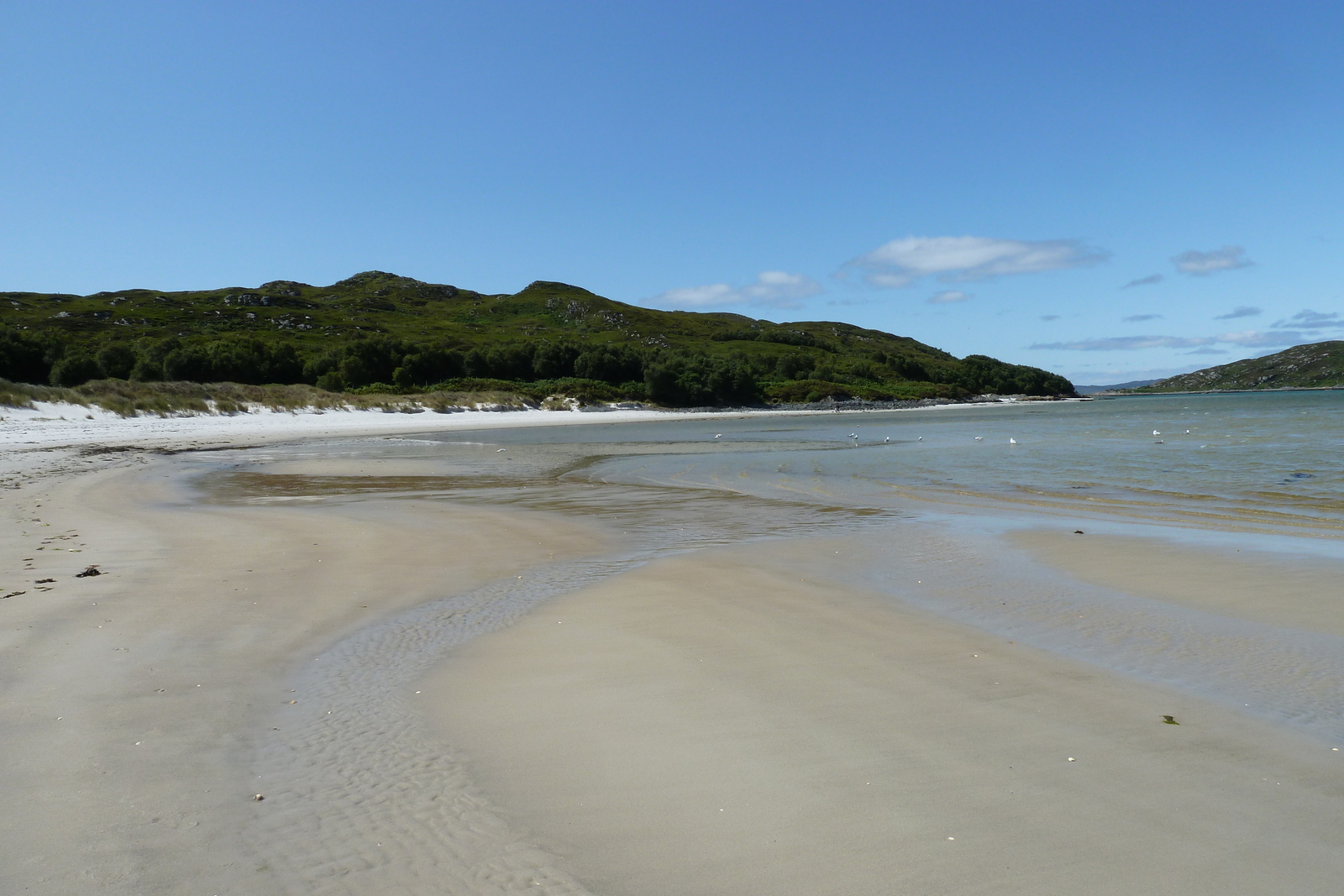 Picture United Kingdom Scotland Arisaig coast 2011-07 56 - Flights Arisaig coast