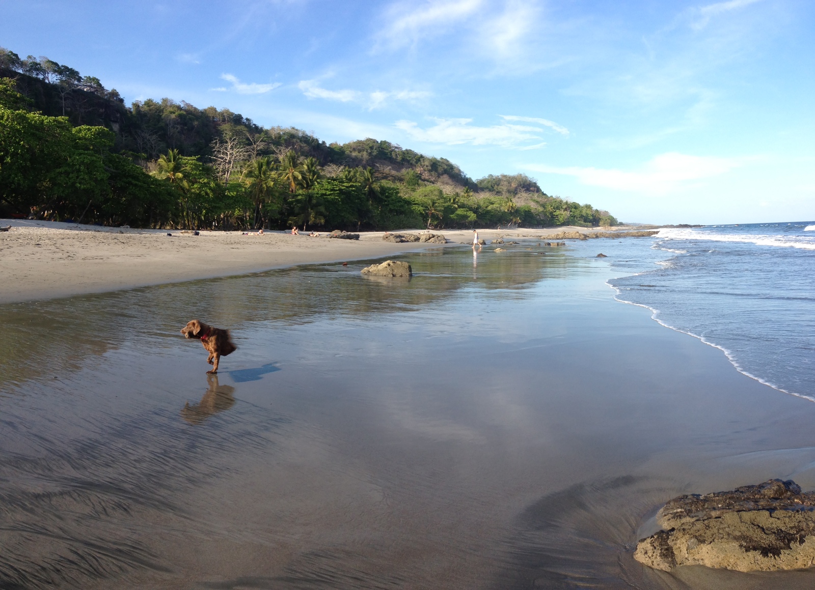 Picture Costa Rica Montezuma 2015-03 251 - Picture Montezuma