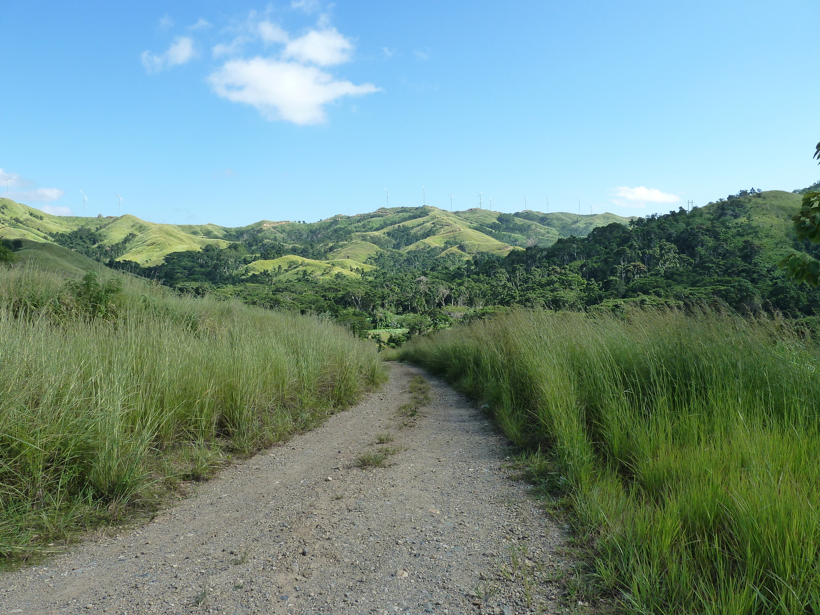 Picture Fiji Sigatoka river 2010-05 106 - Road Map Sigatoka river