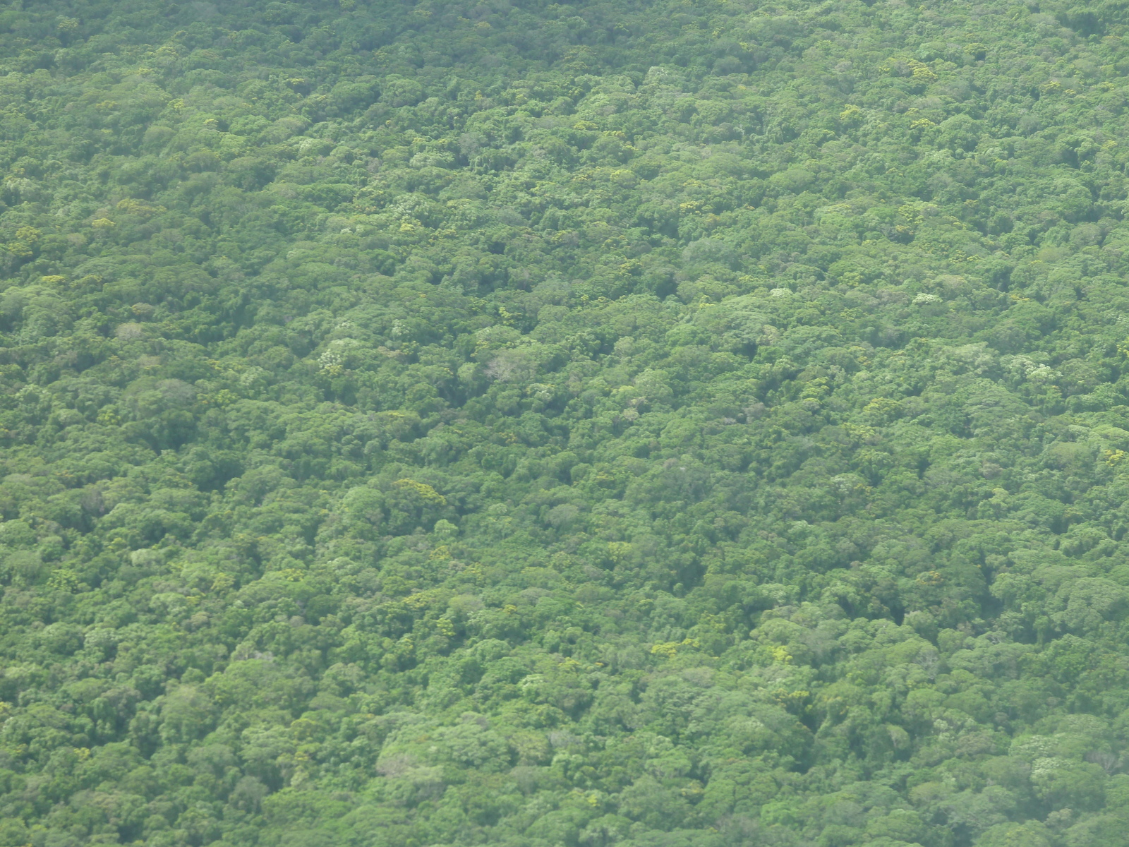 Picture New Caledonia From the Sky 2010-05 5 - Store From the Sky