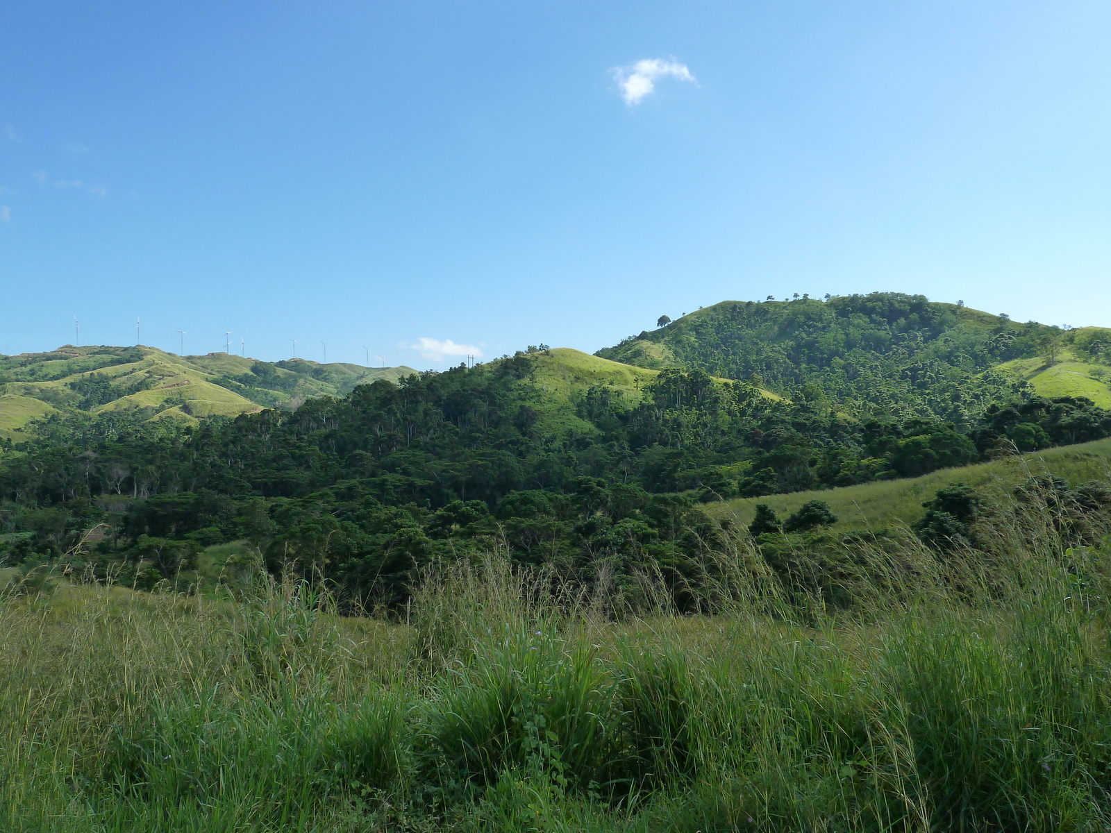 Picture Fiji Sigatoka river 2010-05 69 - Road Sigatoka river