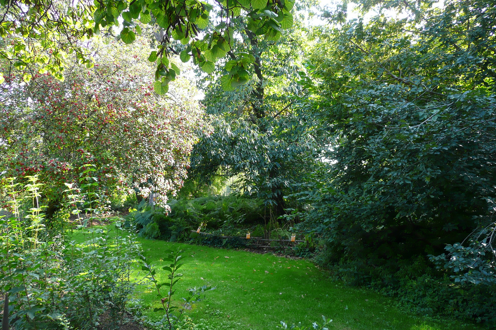 Picture France Paris Jardin des Plantes 2007-08 137 - Sight Jardin des Plantes