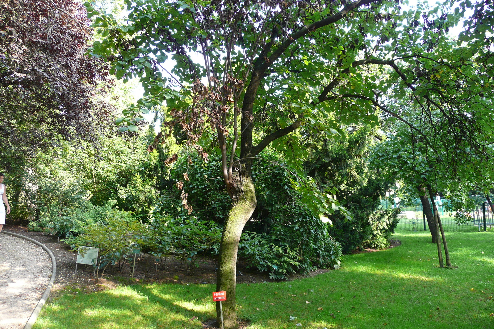 Picture France Paris Jardin des Plantes 2007-08 116 - Tourist Attraction Jardin des Plantes