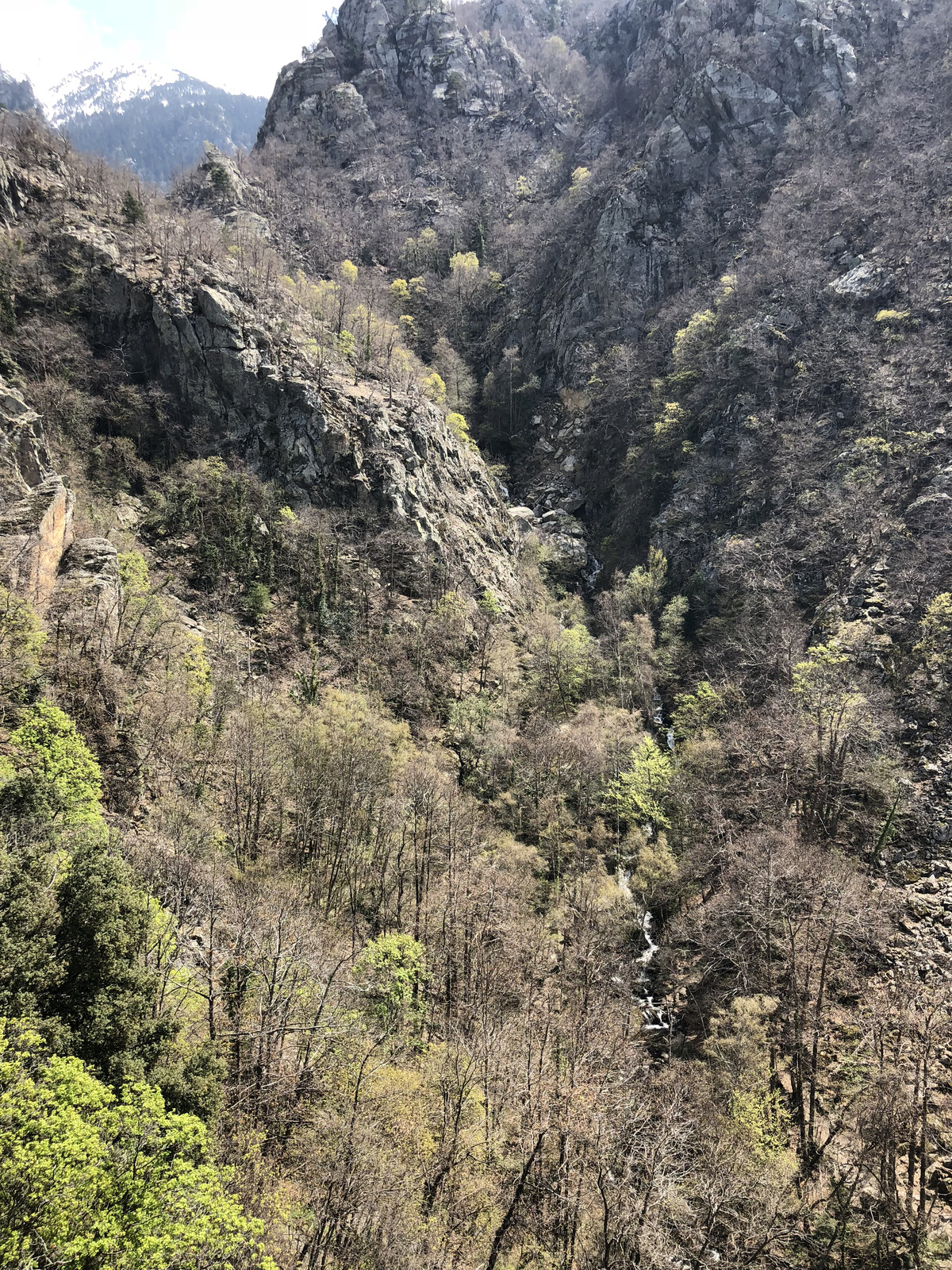 Picture France Abbaye Saint Martin du Canigou 2018-04 86 - Trips Abbaye Saint Martin du Canigou