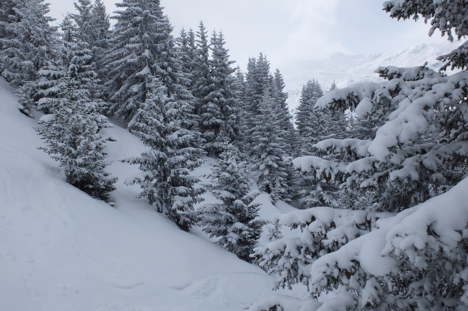 Picture France Les 3 Vallees 2013-03 228 - Perspective Les 3 Vallees