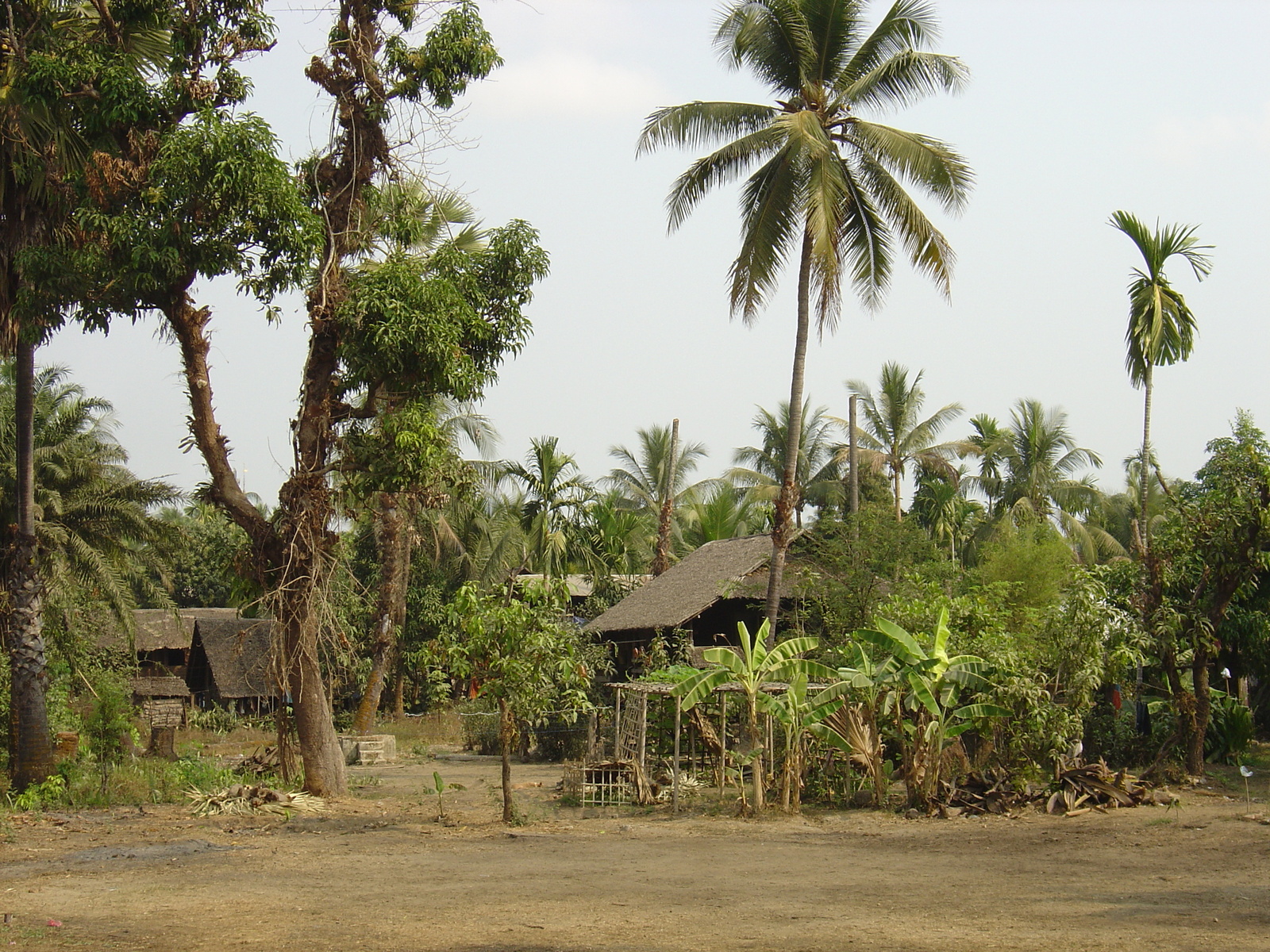 Picture Myanmar Dawei (TAVOY) 2005-01 27 - Sight Dawei (TAVOY)