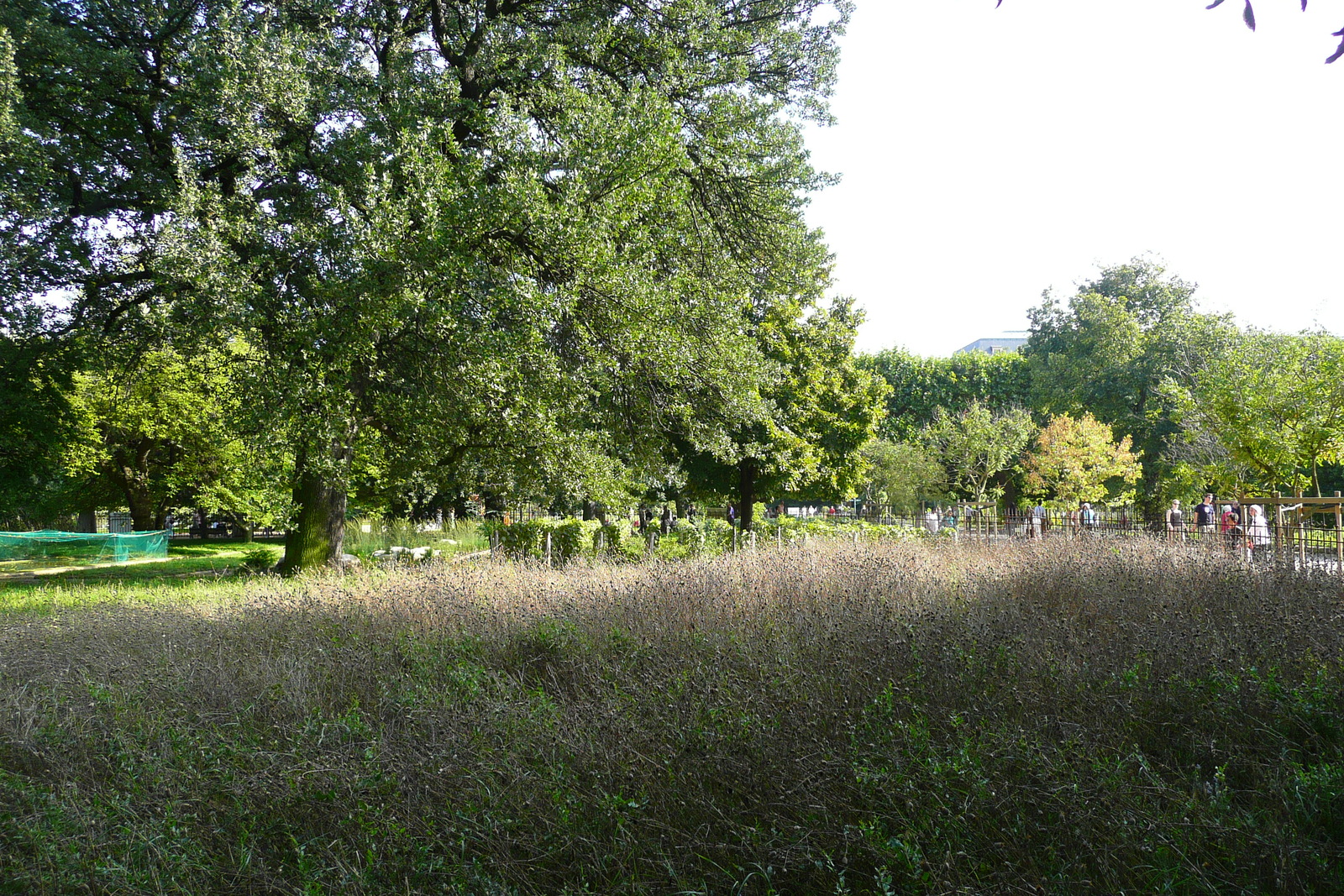 Picture France Paris Jardin des Plantes 2007-08 145 - Trips Jardin des Plantes