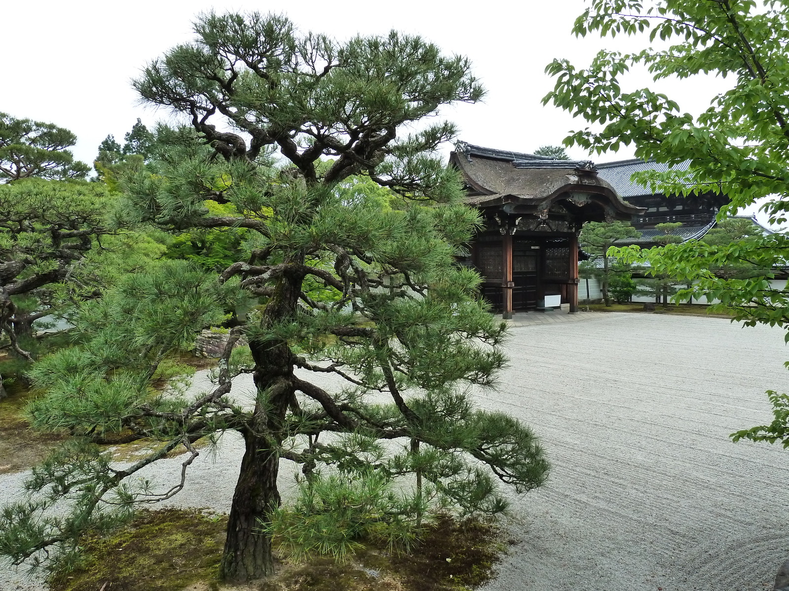 Picture Japan Kyoto Ninna ji imperial Residence 2010-06 57 - Visit Ninna ji imperial Residence