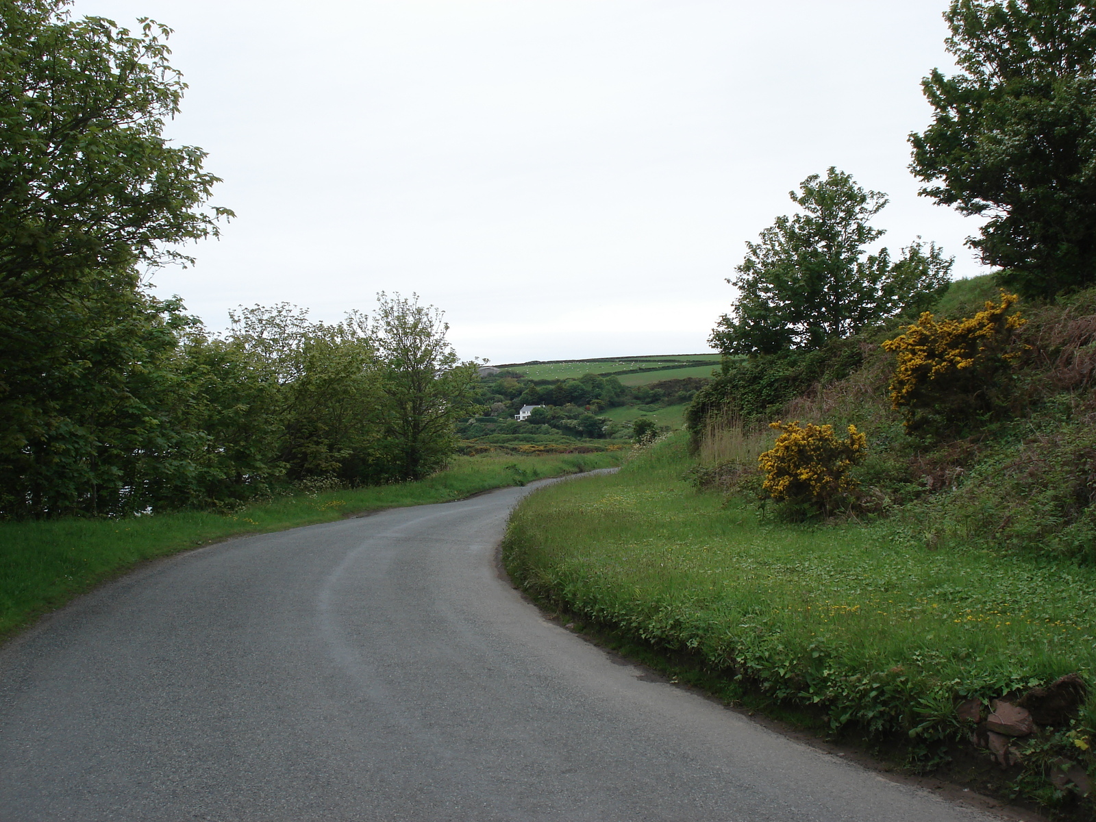 Picture United Kingdom Pembrokeshire Dale 2006-05 4 - Travel Dale