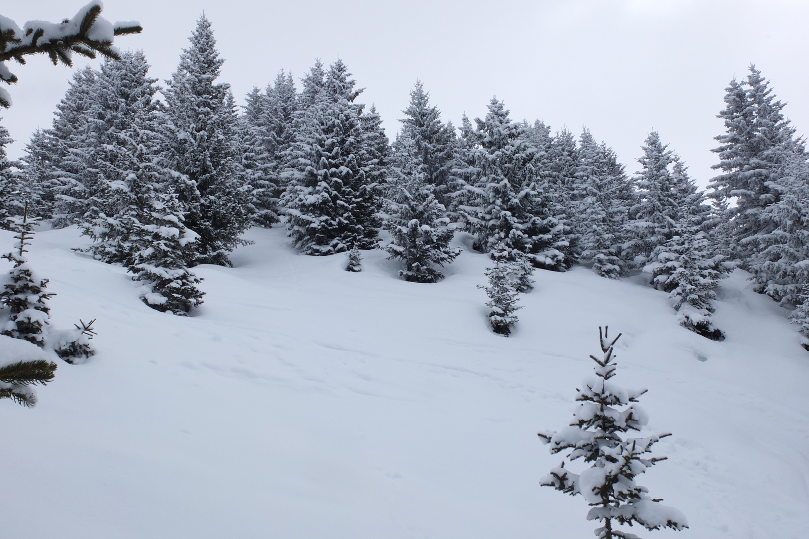 Picture France Les 3 Vallees 2013-03 277 - Photographers Les 3 Vallees