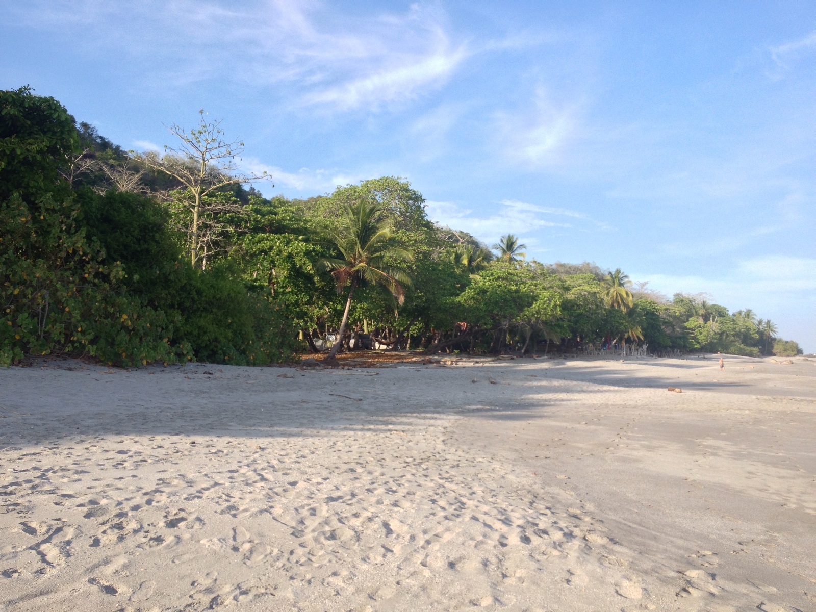 Picture Costa Rica Montezuma 2015-03 385 - Pictures Montezuma