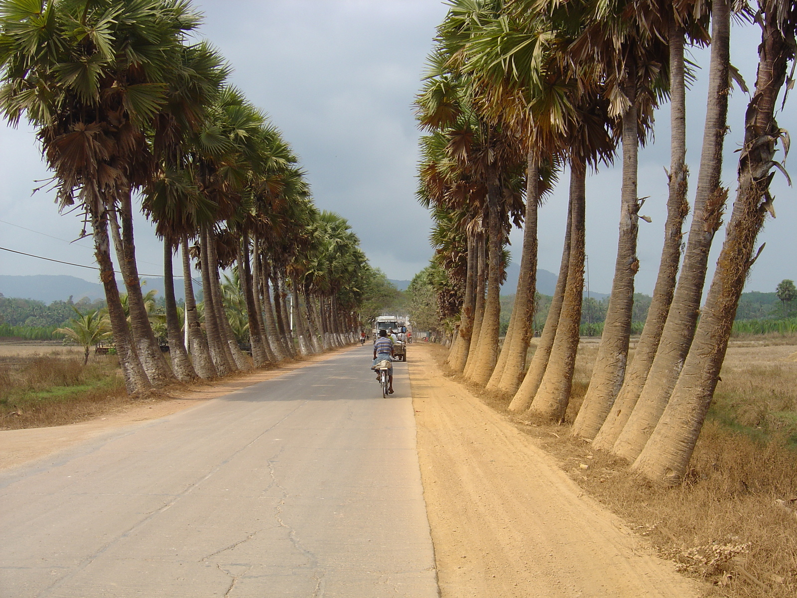 Picture Myanmar Road from Dawei to Maungmagan beach 2005-01 27 - View Road from Dawei to Maungmagan beach