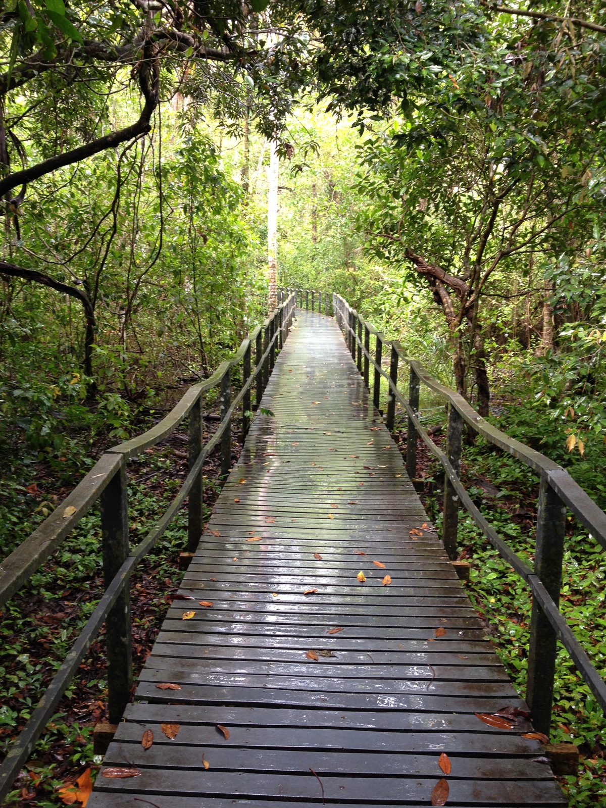 Picture Costa Rica Cahuita 2015-03 259 - Perspective Cahuita