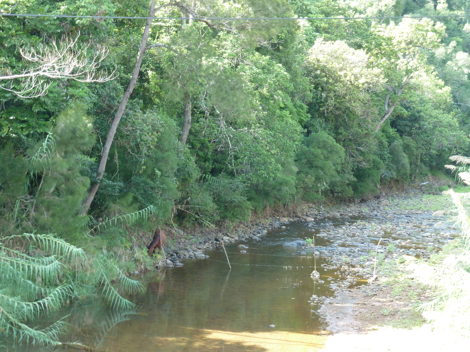 Picture New Caledonia Tontouta to Thio road 2010-05 17 - Tourist Places Tontouta to Thio road