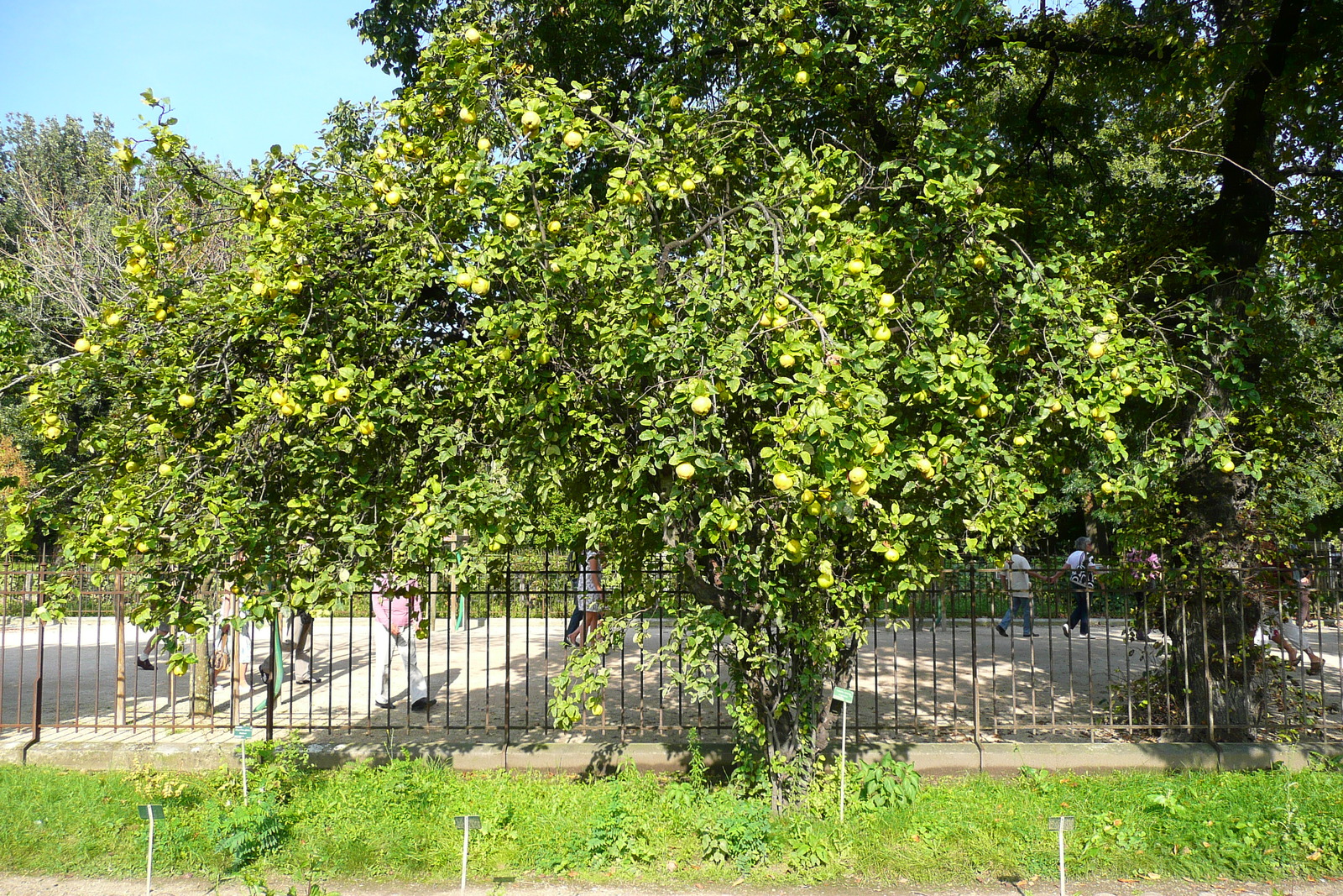 Picture France Paris Jardin des Plantes 2007-08 84 - Sight Jardin des Plantes