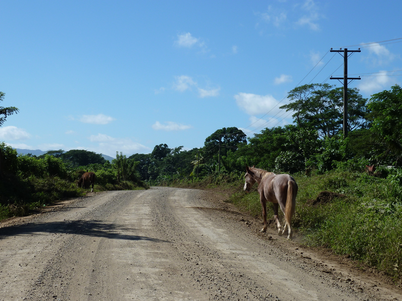 Picture Fiji Sigatoka river 2010-05 92 - Trip Sigatoka river