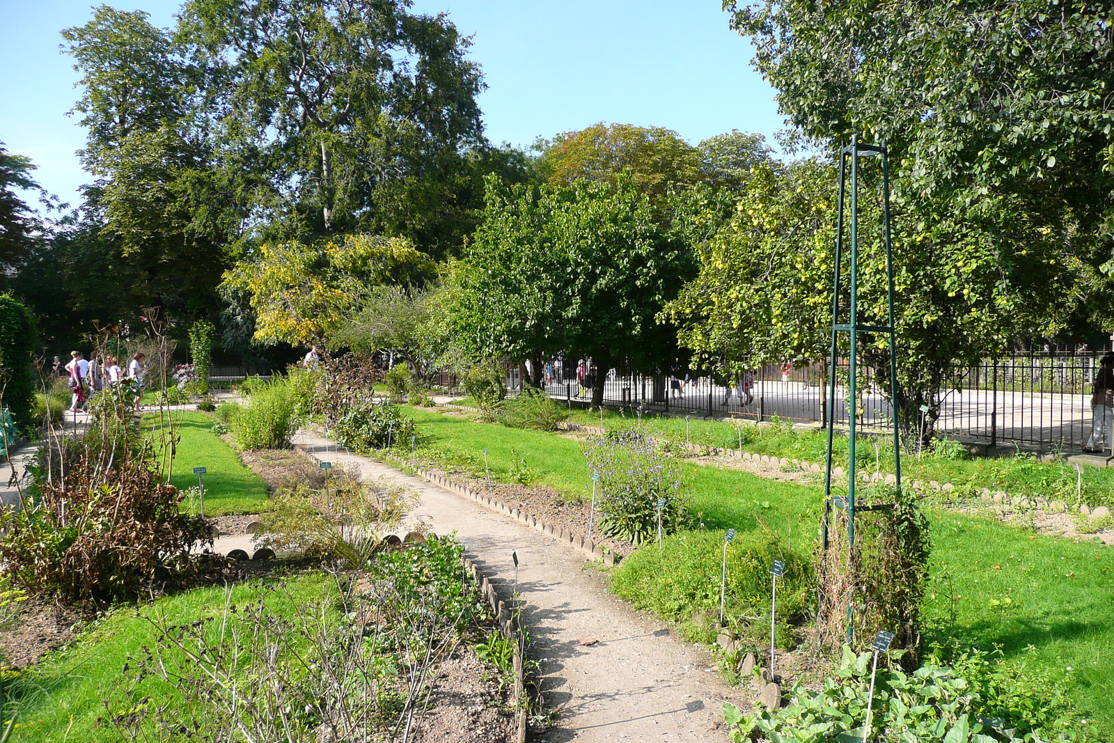 Picture France Paris Jardin des Plantes 2007-08 87 - Perspective Jardin des Plantes