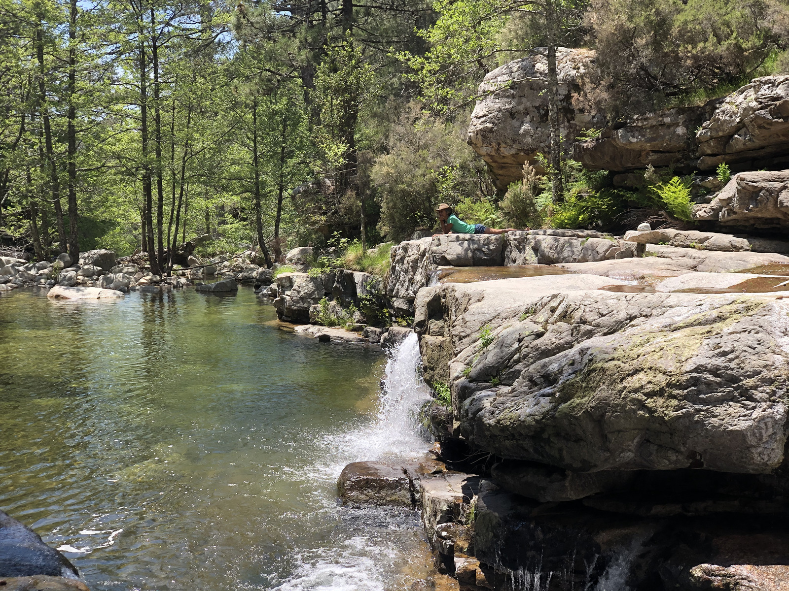 Picture France Corsica Aitone Forest 2021-06 19 - Trip Aitone Forest