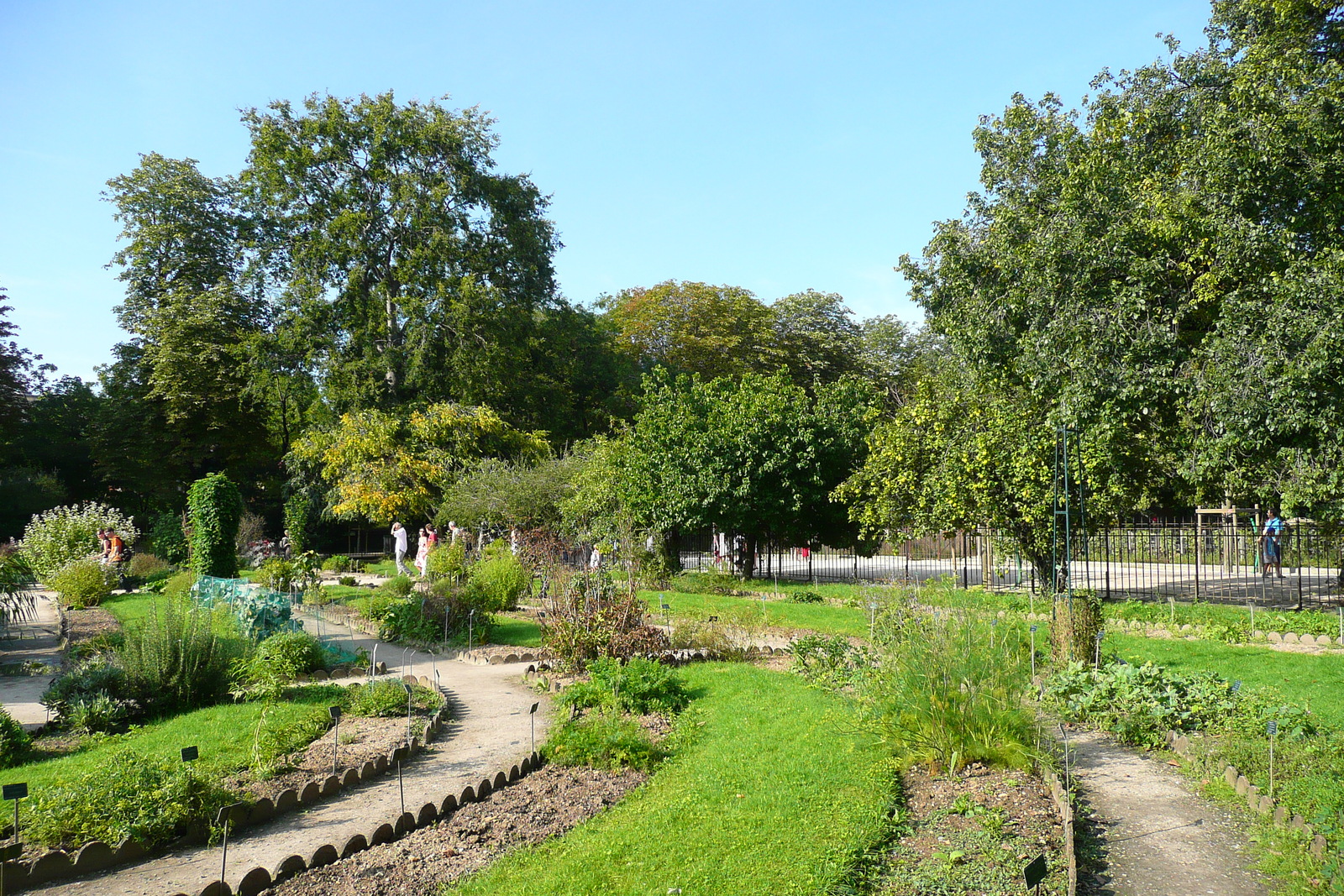 Picture France Paris Jardin des Plantes 2007-08 67 - View Jardin des Plantes