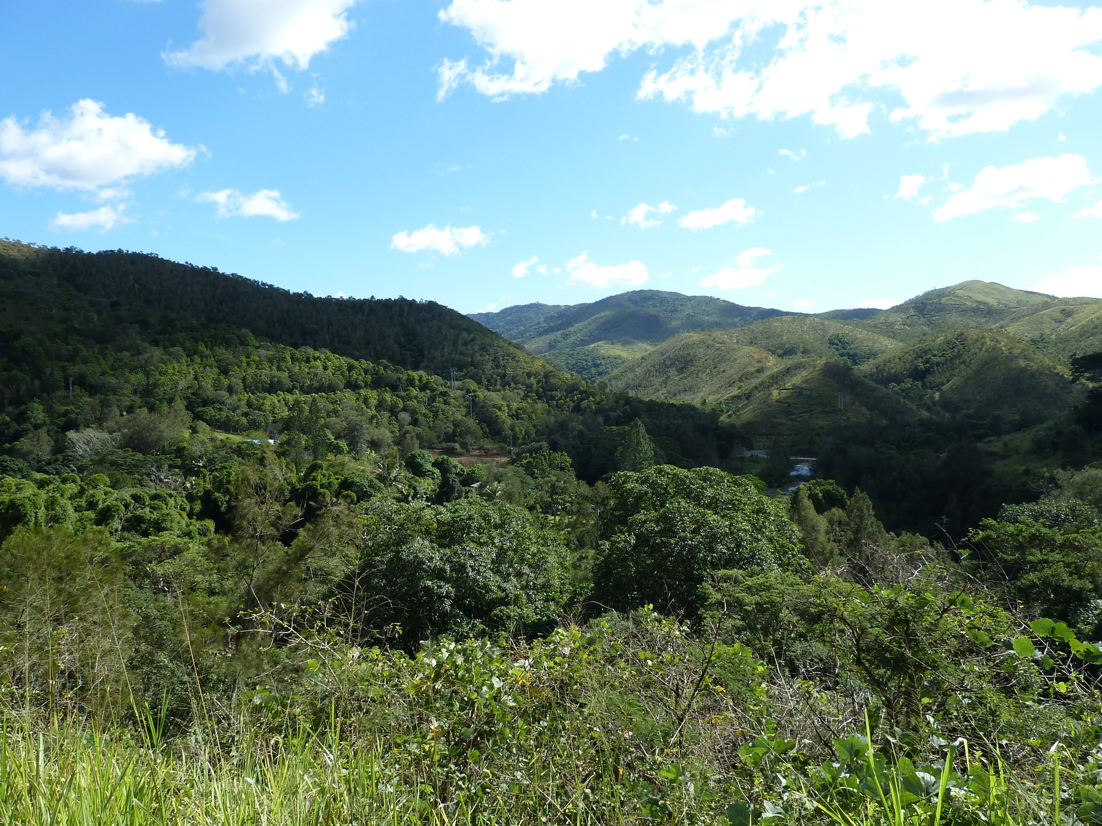 Picture New Caledonia Tontouta to Thio road 2010-05 92 - Trail Tontouta to Thio road